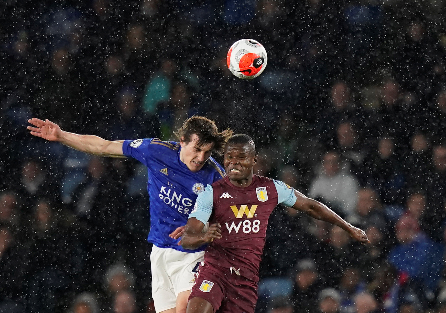 就充满了龟 就充满了龟