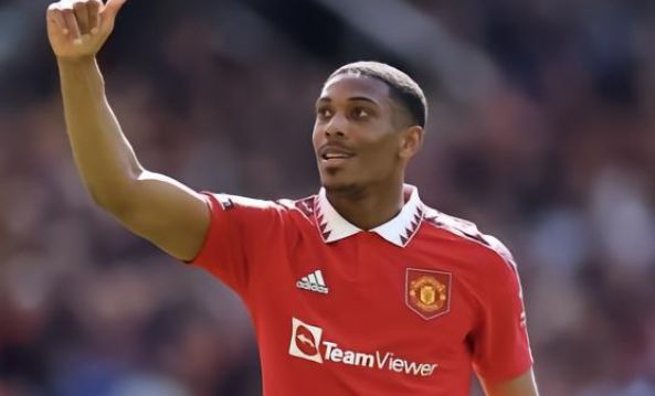 不仅会动摇 不仅会动摇