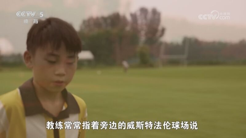 场馆分贝飙 场馆分贝飙